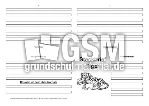 Tiger-Faltbuch-vierseitig-5.pdf